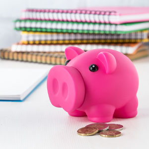 Kasica-prasica-reklamni-materijal