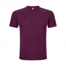Cavalier bordo