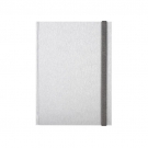 Notes Neptun silver