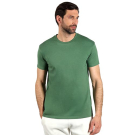 Terra men zelena majica 1
